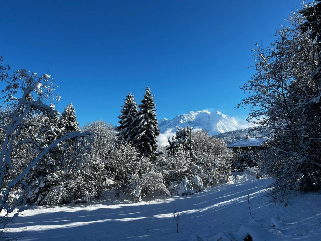 Terrain à vendre à Combloux